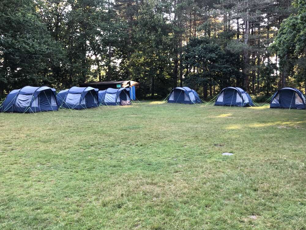 Cub camp